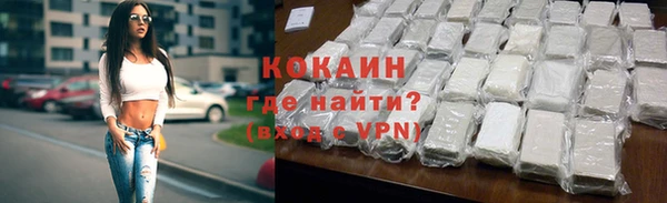 прущие грибы Медногорск