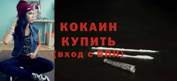 прущие грибы Медногорск