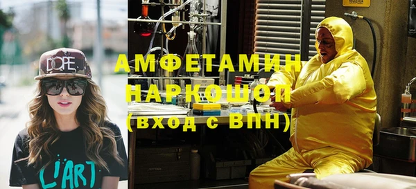 прущие грибы Медногорск