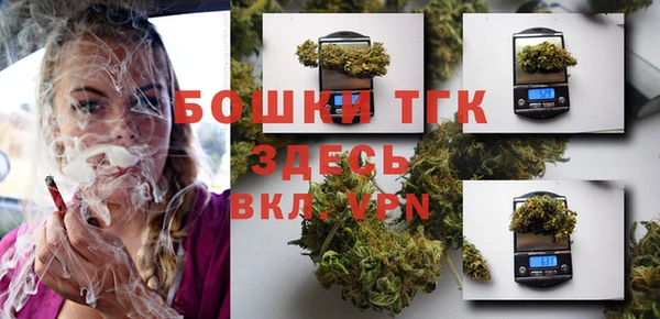 прущие грибы Медногорск