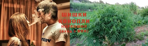 прущие грибы Медногорск