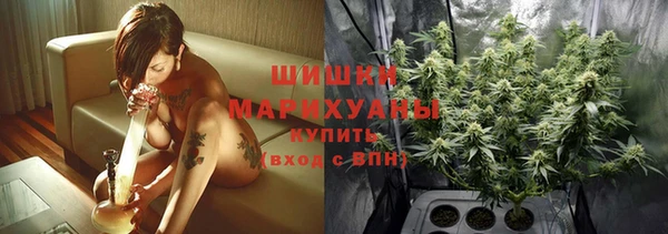 ГАЛЛЮЦИНОГЕННЫЕ ГРИБЫ Медвежьегорск