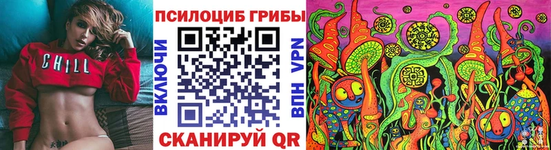 Купить закладки  Лабытнанги  Галлюциногенные грибы мицелий 